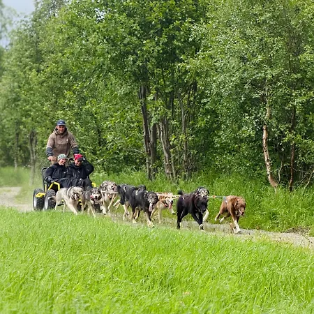 Forest Suites By Holmen Husky-3